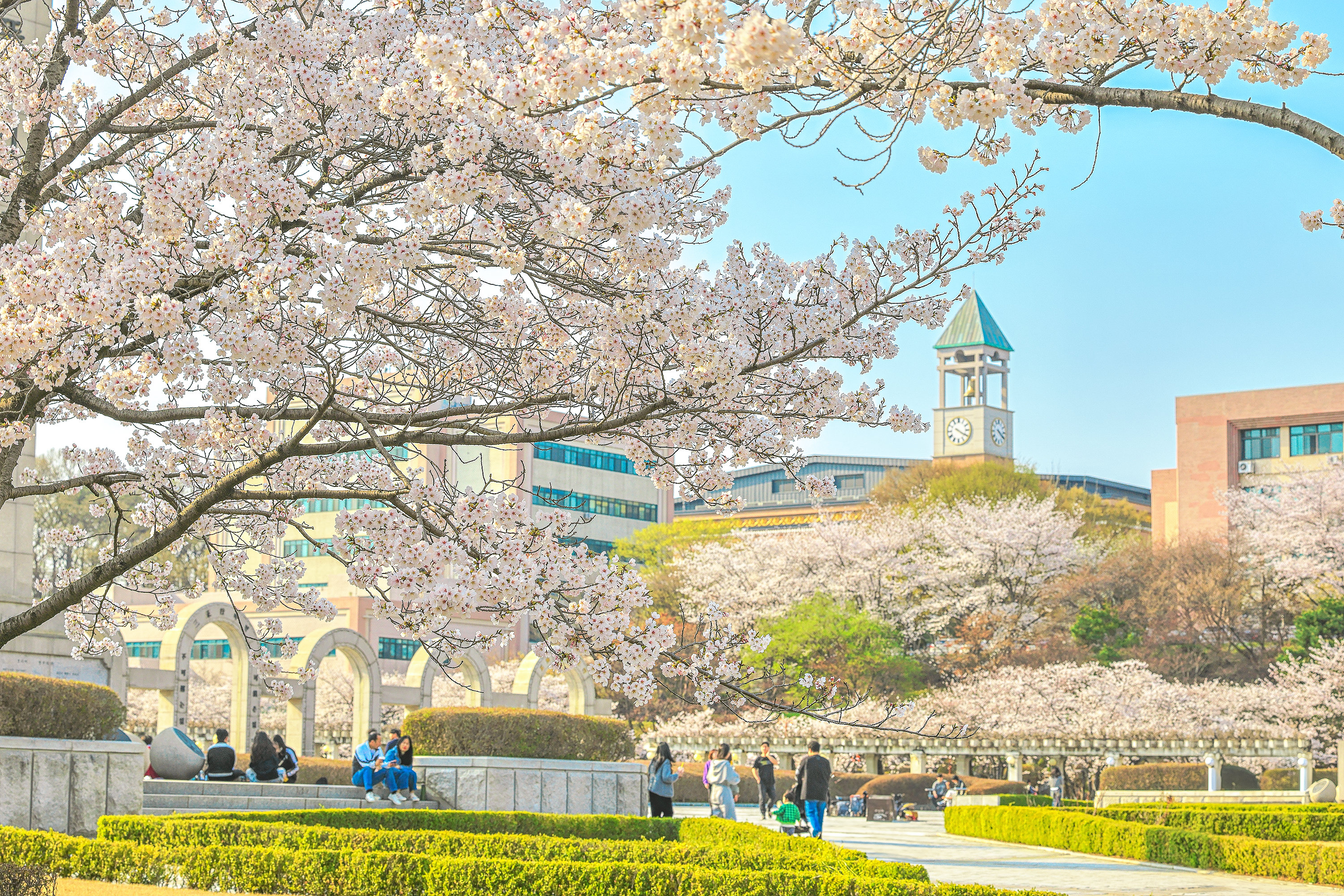 경희대학교 산학협력단
