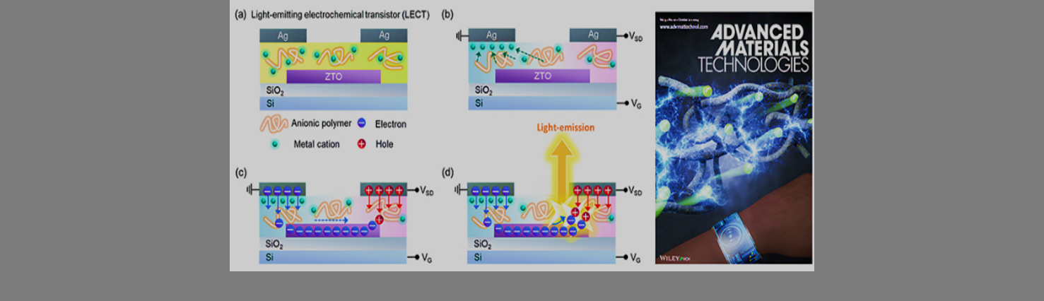 고분자-금속 하이브리드 신소재 기반 전기화학 발광 트랜지스터 개발