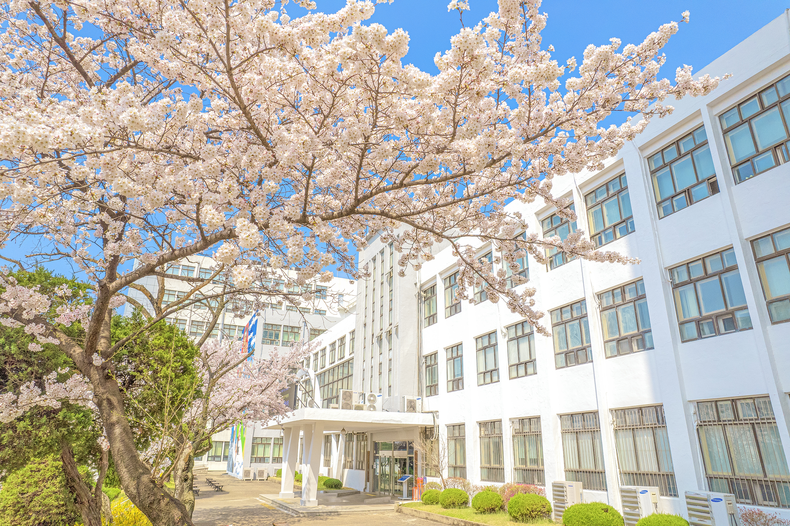 경희대학교 산학협력단