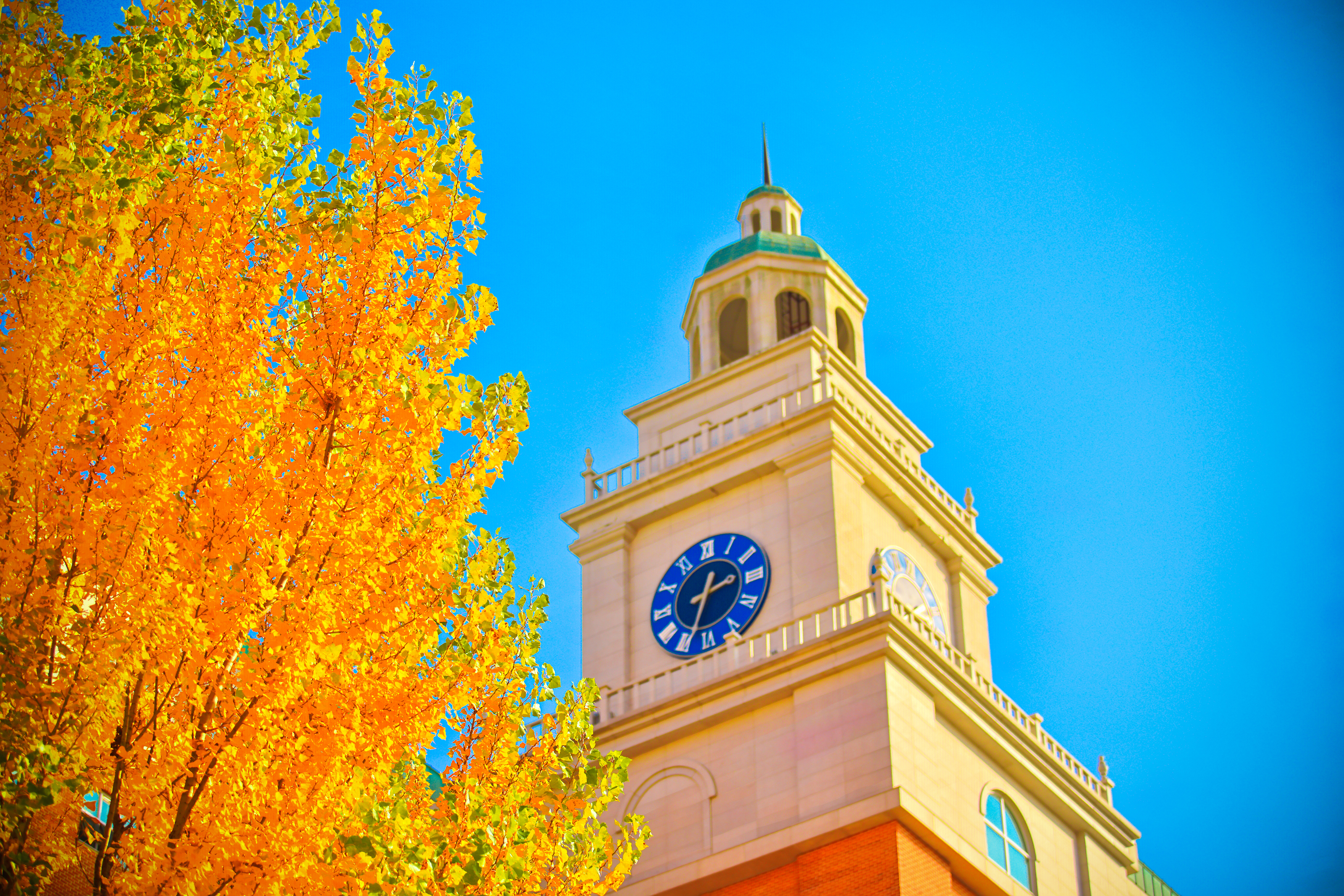 경희대학교 산학협력단